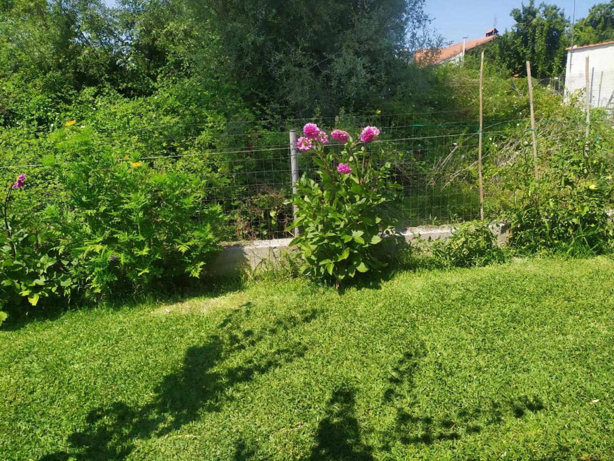 Ioannis Seaside Villa Leptokarya  Exterior foto